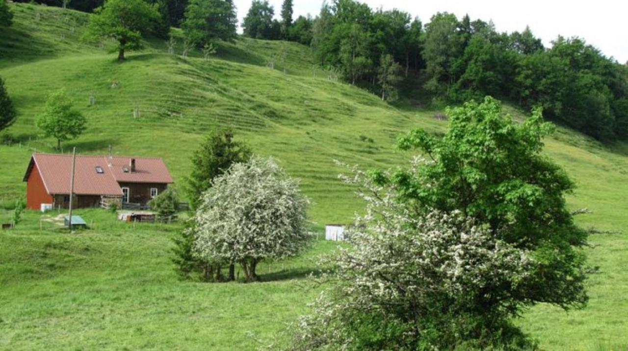 Kaufhold Ferienwohnung Immenstadt im Allgäu Buitenkant foto